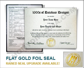 College Diploma and Transcripts, Actual Design Match - Intermediate Package Col ADM+T - Int